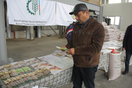 Bölgələrdə payızlıq əkinlərlə bağlı fermerlərə maarifləndirici təlimlər keçirilir 