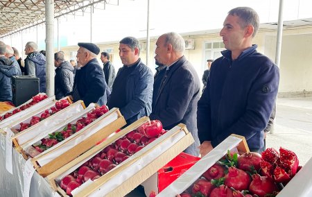 Kürdəmirdə Nar Sərgi-Satış Yarmarkası keçirilib