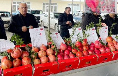Kürdəmirdə Nar Sərgi-Satış Yarmarkası keçirilib