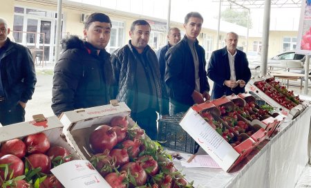 Kürdəmirdə Nar Sərgi-Satış Yarmarkası keçirilib