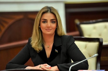 Könül Nurullayeva: “Aliment Fondunun yaradılması uşağın saxlanmasında yaranan çətinlikləri aradan qaldıracaq”