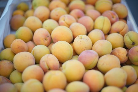 Həftəsonu “Kənddən Şəhərə” yarmarkaları təşkil olunacaq