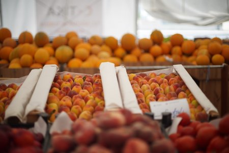 Həftəsonu “Kənddən Şəhərə” yarmarkaları təşkil olunacaq