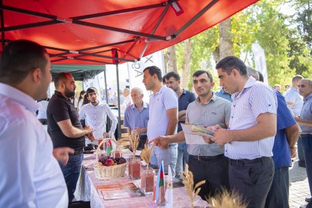 İsmayıllıda respublika toxum sərgi-satış yarmarkası keçirilib
