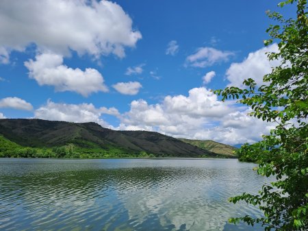 “Yaşıl dünya sənin baxışında” regional onlayn fotomüsabiqənin qalibləri mükafatlandırılıb