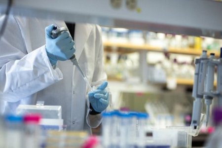 Azərbaycanda daha iki nəfər koronavirusdan öldü: 65 yeni yoluxma faktı - RƏSM