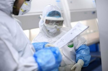 Koronavirus insanın bütün orqanlarına təsir edir - ARAŞDIRMA