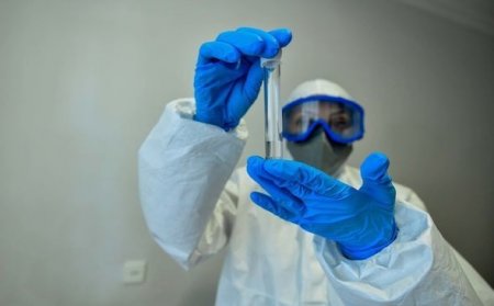 Bakıda koronavirusa yoluxma üzrə lider rayon yenə dəyişdi - RƏSMİ