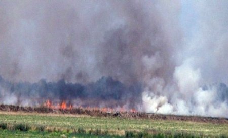 Ermənilər işğal altındakı Azərbaycan torpaqlarında yanğın törədiblər - FOTO