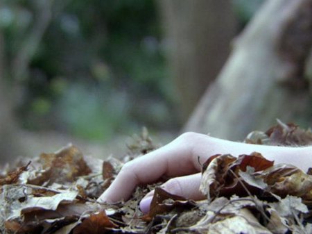 Bakı-Qazax yolunda qadın meyiti tapıldı