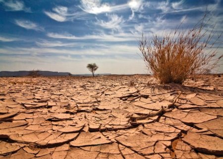 Su problemi zamanı gözləmir ! - “İndidən ciddi addımlar  atılmalıdır”