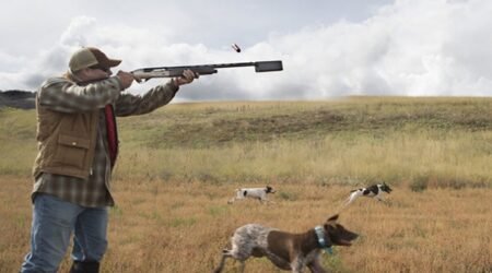 Azərbaycanda ov mövsümü bu tarixdə açılır