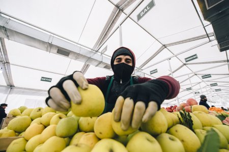Bakı və Abşeronda “Kənddən Şəhərə” Novruz yarmarkaları keçiriləcək