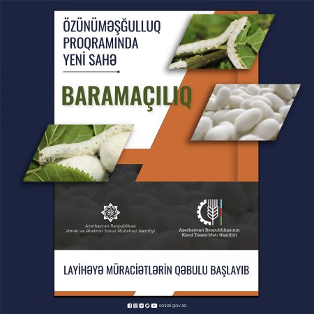 Özünüməşğulluq proqramında yeni sahə - BARAMAÇILIQ
