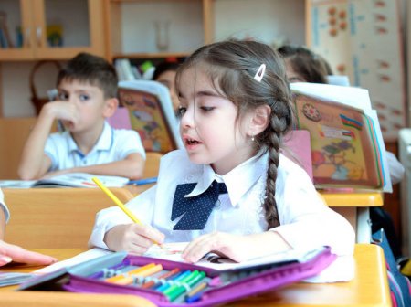 Birinci sinfə qəbul tam elektronlaşdırılır - İşçi qrup yaradıldı