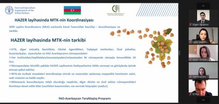 “Azərbaycanda fındıqçılıq sahəsində səmərəliliyin və dayanıqlılığın sürətləndirilməsi