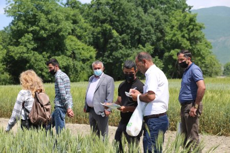 Fermerlər, toxum istehsalçıları və idxalçıları üçün təlim keçirilib