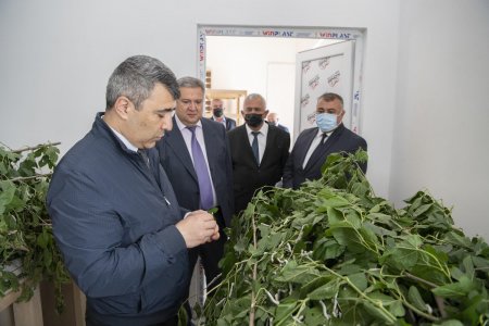 Nazir İnam Kərimov Şamaxı və Ağsuda yeni inşa edilən kənd təsərrüfatı müəssisələrində olub, fermer təsərrüfatlarına baş çəkib