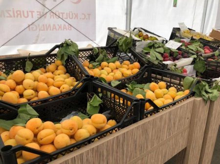26-27 iyunda “Kənddən Şəhərə” həftəsonu yarmarkaları keçiriləcək