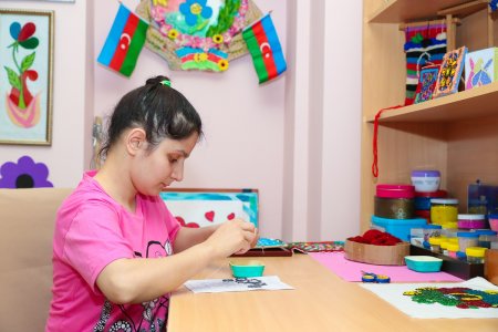 Sağlamlıq imkanları məhdud uşaqlar üçün sosial xidmət müəssisələrinə mediatur təşkil olunub