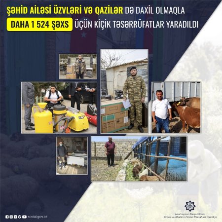 Şəhid ailəsi üzvləri və qazilər də daxil olmaqla daha 1524 şəxs üçün kiçik təsərrüfat yaradıldı