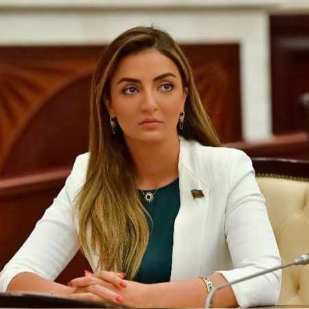 Könül Nurullayeva: “Jirinovski kimi üzdəniraq ünsürlərə öz yerini göstərmək lazımdır”