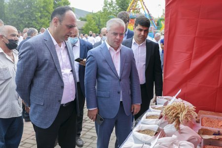 Şəkidə keçirilən toxum sərgi-satış yarmarkasında 30-dan çox toxum sortu təqdim edilib