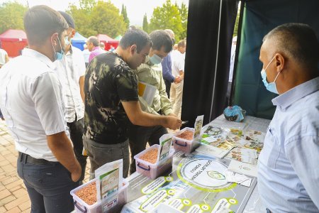 Şəkidə keçirilən toxum sərgi-satış yarmarkasında 30-dan çox toxum sortu təqdim edilib