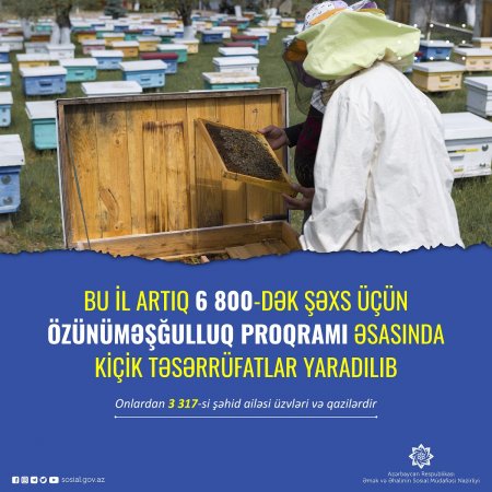 Bu il artıq 6800-dək şəxs üçün özünüməşğulluq proqramı əsasında kiçik təsərrüfatlar yaradılıb