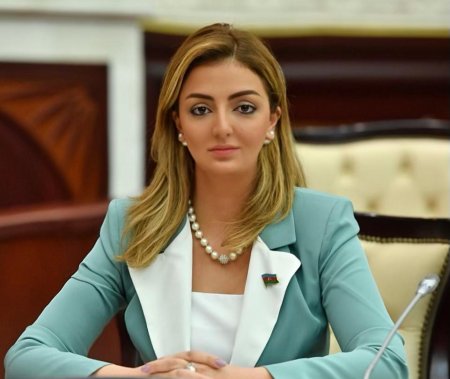 Xorvatiya Parlamentinin üzvü: “Azərbaycanın qələbəsi təhlükəsiz və firavan gələcək üçün bir fürsətdir”