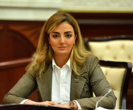 Könül Nurullayeva: “Könüllülərin maraq və mənafeyini nəzərə almaqla mövcud normativ aktlara yenidən baxmalıyıq”