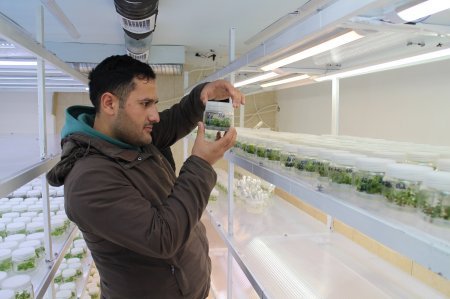 Fındıqçılıq Üzrə Texniki Sertifikat Proqramının təlimləri yekunlaşıb