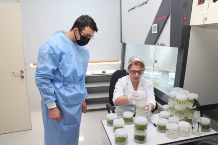 Fındıqçılıq Üzrə Texniki Sertifikat Proqramının təlimləri yekunlaşıb