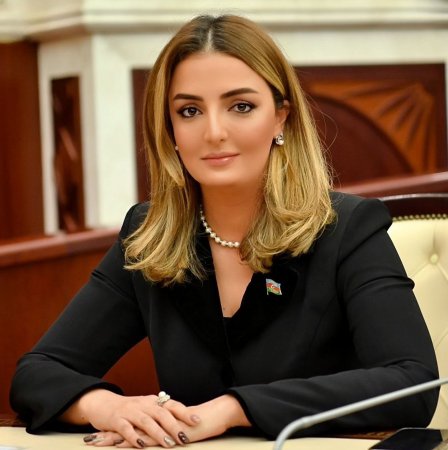 Könül Nurullayeva bir illik fəaliyyət hesabatını təqdim edib