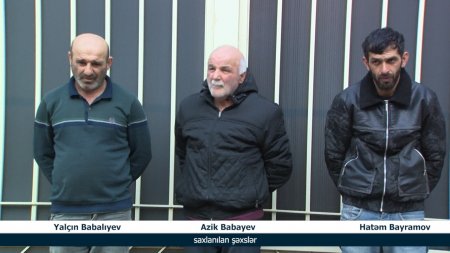 İstifadəyə yararsız 4 ton at və mal əti satışını həyata keçirən mütəşəkkil dəstənin üzvləri saxlanılıblar