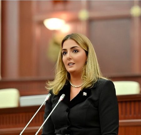 Könül Nurullayeva: “Azərbaycan Avropa İttifaqı ilə gələcək ikitərəfli planları düzgün tərtib edir”