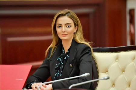 Könül Nurullayeva: “Beynəlxalq təşkilatlar Qarabağda bərpa prosesinə və keçmiş məcburi köçkünlərin qayıtmasına dəstək olmalıdır”