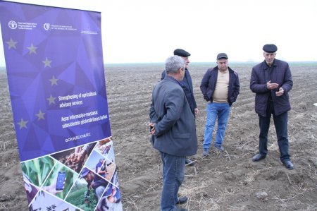 Quba-Xaçmaz və Gəncə-Qazax regionlarında fermerlərə məsləhət xidməti göstərmək üçün  aqro ekspert cəlb edilib