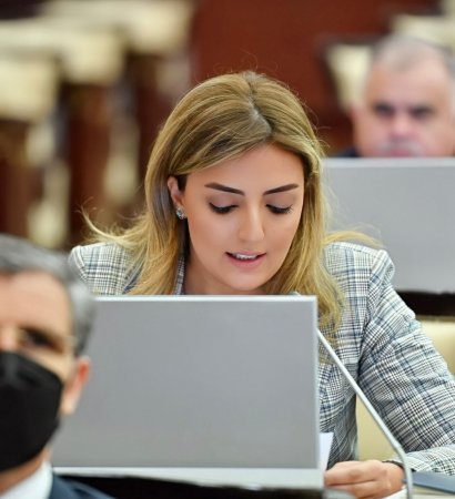 K.Nurullayeva: “Əlillərə uyğun iş yerləri yaradılmalıdır”
