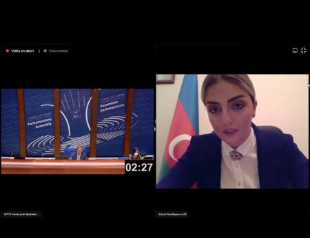 Könül Nurullayeva AŞPA-nın sessiyasında çıxış edib