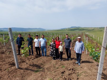 FAO-nun Azərbaycandakı ofisinin rəhbəri Mələk Çakmak bölgələrdəki işlərlə tanış olub