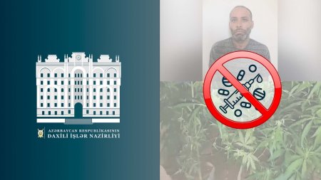 Xəzər rayonu Zirə qəsəbəsində narkotacirdən 26 kiloqram çətənə kolu və marixuana aşkar edilib