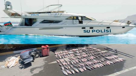 Su polisləri tərəfindən körpə balıqları qanunsuz  olaraq ovlayan şəxslərə qarşı uğurlu tədbir keçirilib