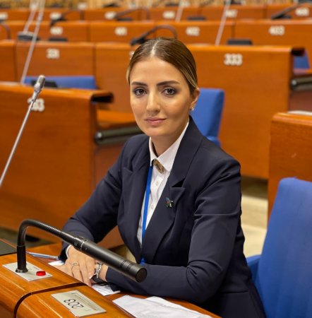Deputat AŞ PA-da Avropada etnik ayrı-seçkiliklə mübarizə sahəsindəki boşluqlardan danışıb