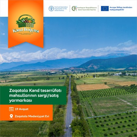 Zaqatalada 