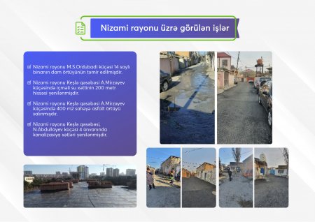 Könül Nurullayeva fəaliyyət hesabatını təqdim edib