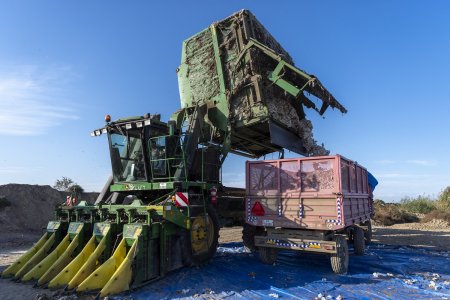 Azərbaycanın 16 rayonunda məhsul yığımı davam edir