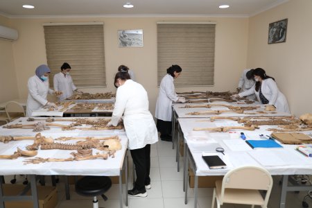 Avropa Şurasının insan hüquqları üzrə müvəkkili Dunia Miyatoviçin başçılıq etdiyi nümayəndə heyəti Səhiyyə Nazirliyi “Məhkəmə-Tibbi Ekspertiza və Patoloji Anatomiya Birliyi”ndə olub