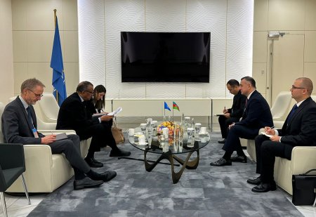 Səhiyyə naziri Teymur Musayevlə Ümumdünya Səhiyyə Təşkilatının Baş direktoru Tedros Adhanom Qebreyesus arasında görüş keçirilib