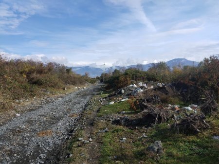  Zaqatala Rayon Polis Şöbəsinin və Ekologiya və Təbii Sərvətlər Nazirliyinin regional idarəsinin əməkdaşları tərəfindən birgə tədbirlər keçirilib